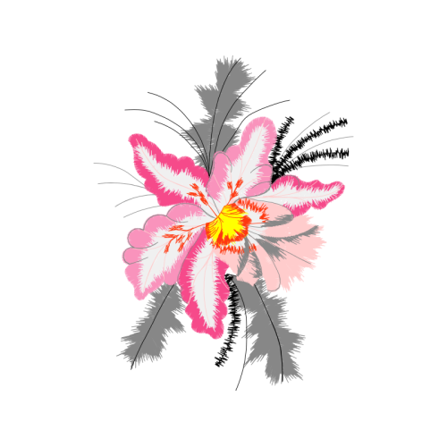 Dog Rose Flowers Dog Rose Flowers