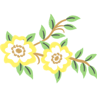 Dog Rose Flowers Dog Rose Flowers