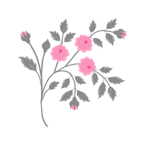 Dog Rose Flowers Dog Rose Flowers