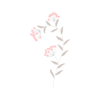 Dog Rose Flowers Dog Rose Flowers