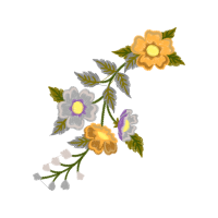 Dog Rose Flowers Dog Rose Flowers