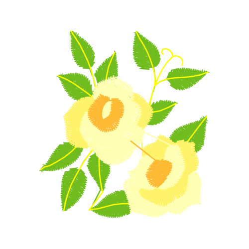 Dog Rose Flowers Dog Rose Flowers