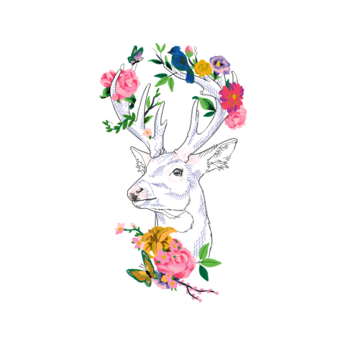 Domestic Rabbit Flowers Domestic Rabbit Flowers