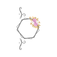 Drawing Flowers Drawing Flowers