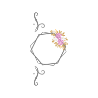 Drawing Flowers Drawing Flowers