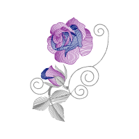 Drawing Flowers Drawing Flowers