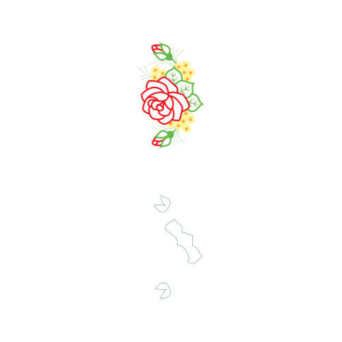 Drawing Flowers Drawing Flowers