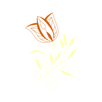 Drawing Flowers Drawing Flowers