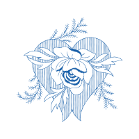 Drawing Flowers Drawing Flowers