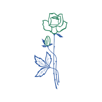 Drawing Flowers Drawing Flowers