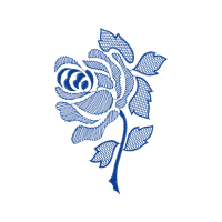 Drawing Flowers Drawing Flowers