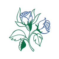 Drawing Flowers Drawing Flowers