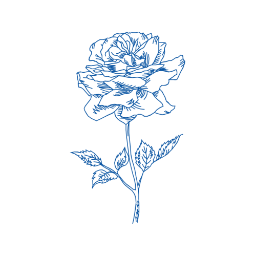 Drawing Flowers Drawing Flowers