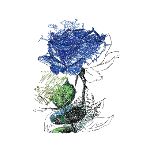 Drawing Flowers Drawing Flowers