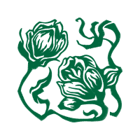 Drawing Flowers Drawing Flowers