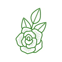 Drawing Flowers Drawing Flowers