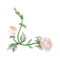 Drawing Flowers