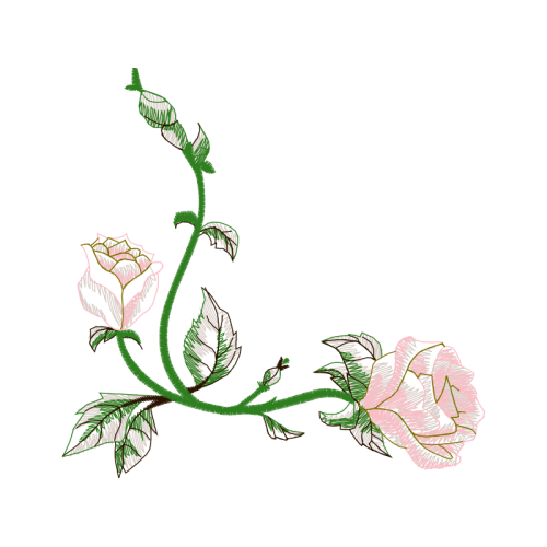 Drawing Flowers Drawing Flowers