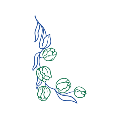 Drawing Flowers Drawing Flowers