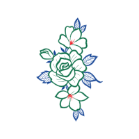 Drawing Flowers Drawing Flowers