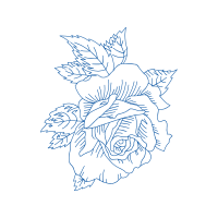 Drawing Flowers Drawing Flowers