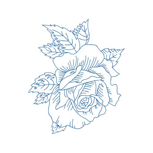 Drawing Flowers Drawing Flowers