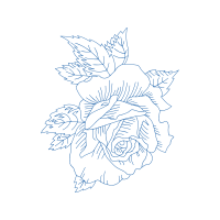 Drawing Flowers Drawing Flowers