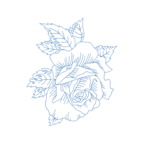 Drawing Flowers Drawing Flowers