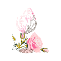 Drawing Flowers Drawing Flowers