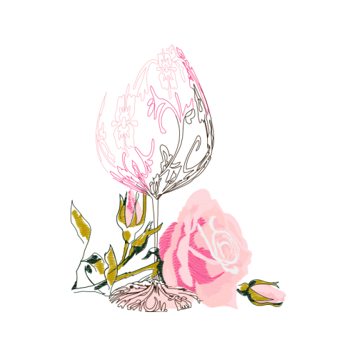 Drawing Flowers Drawing Flowers