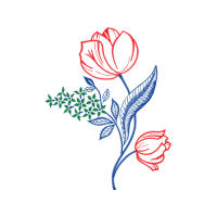 Drawing Flowers Drawing Flowers