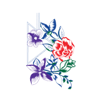 Drawing Flowers Drawing Flowers