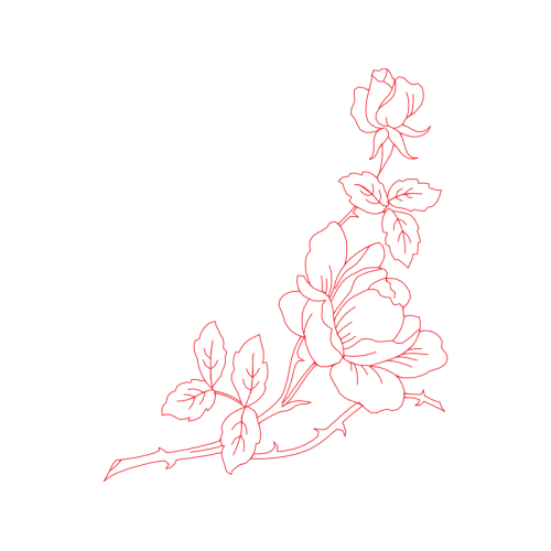 Drawing Flowers Drawing Flowers