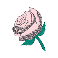 Drawing Flowers Drawing Flowers