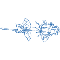 Drawing Flowers Drawing Flowers