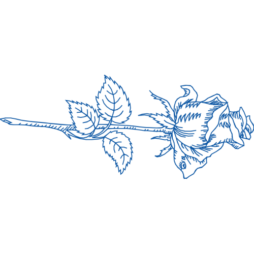 Drawing Flowers Drawing Flowers