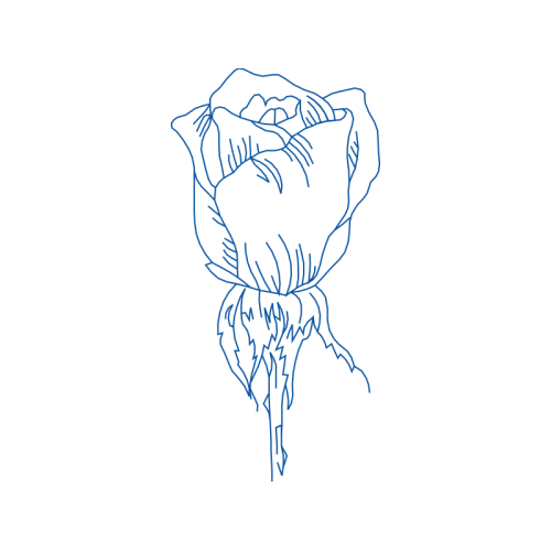 Drawing Flowers Drawing Flowers