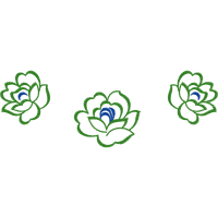 Drawing Flowers Drawing Flowers