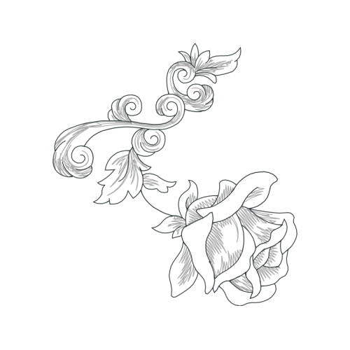 Drawing Flowers Drawing Flowers