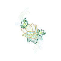 Drawing Flowers Drawing Flowers