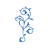 Drawing Flowers Drawing Flowers