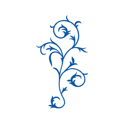 Drawing Flowers Drawing Flowers