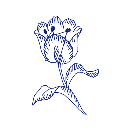 Drawing Flowers Drawing Flowers