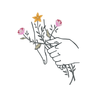 Drawing Flowers Drawing Flowers