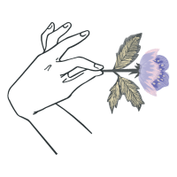 Drawing Flowers Drawing Flowers