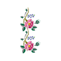 Drawing Flowers