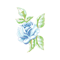 Drawing Flowers Drawing Flowers