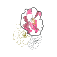 Drawing Flowers Drawing Flowers