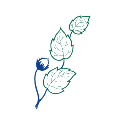 Drawing Flowers Drawing Flowers