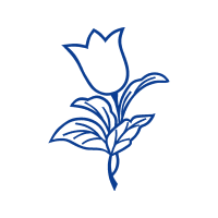 Drawing Flowers Drawing Flowers